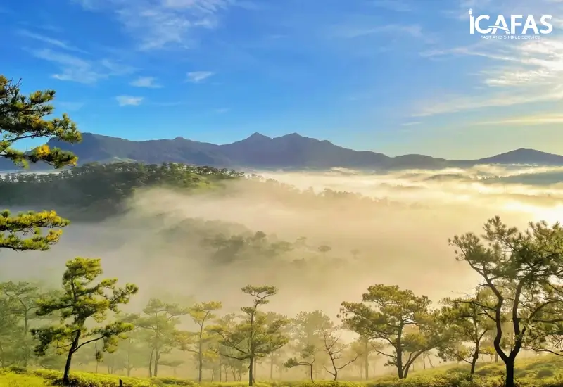 “Đồi cô dâu” là một trong những ngọn đồi đẹp nhất Đà Lạt