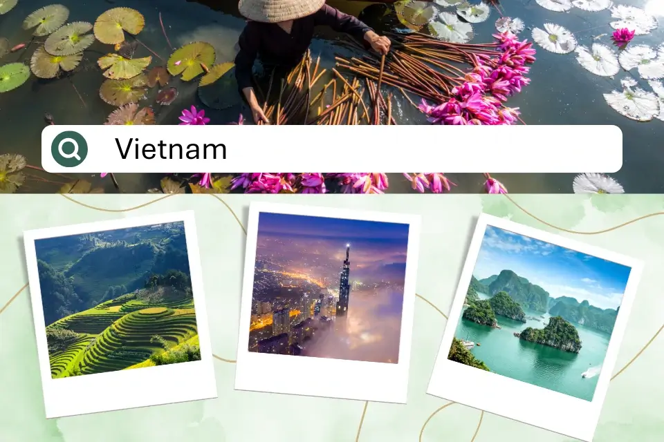 Khách Mỹ đổ xô tìm kiếm Việt Nam đầu năm 2025